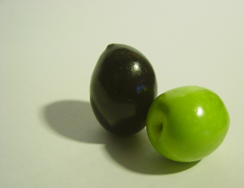 Les olives Ã  huile d'olives