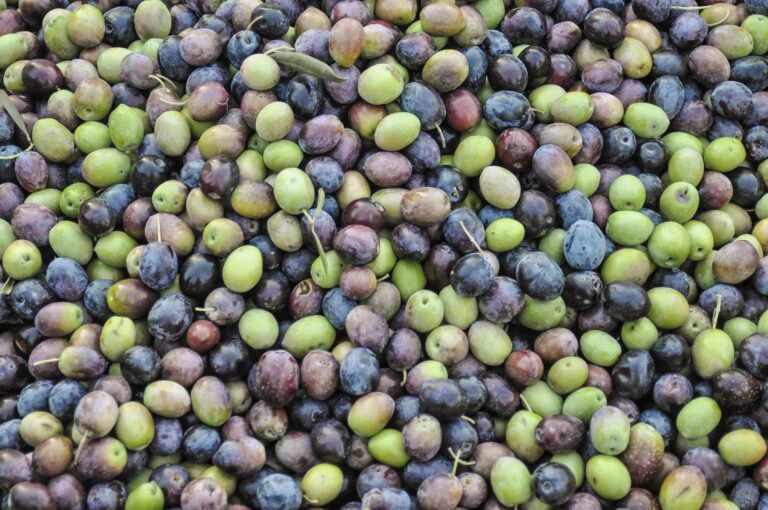 Les Olives